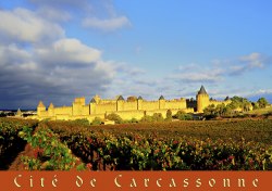 Cité-de-Carcassonne10x15-CC004