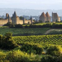 Cite-de-Carcassonne-Petit-Matin