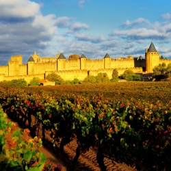 Cite-de-Carcassonne-Jaune
